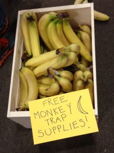 Get your free monkey trap supplies here!